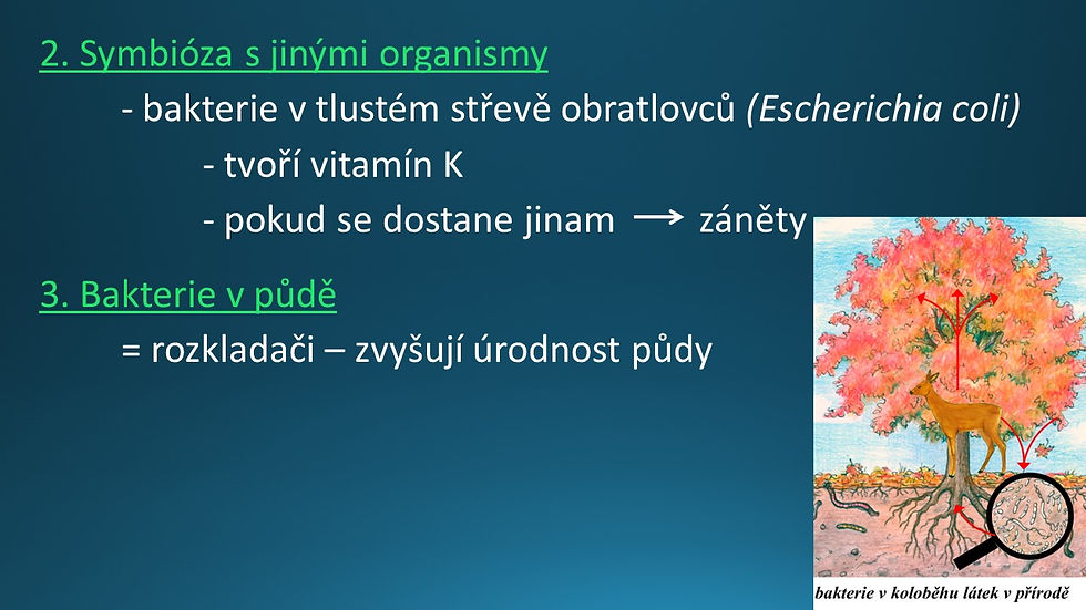 Snímek59