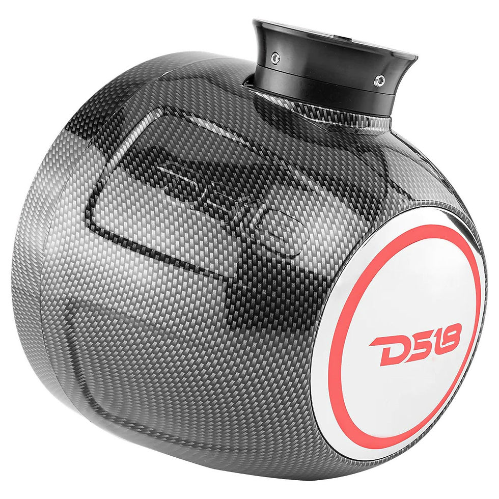 Thumbnail: DS18 8″ Marine/PowerSport Compact Tower Speakers with RGB LED Lights (Carbon Fib
