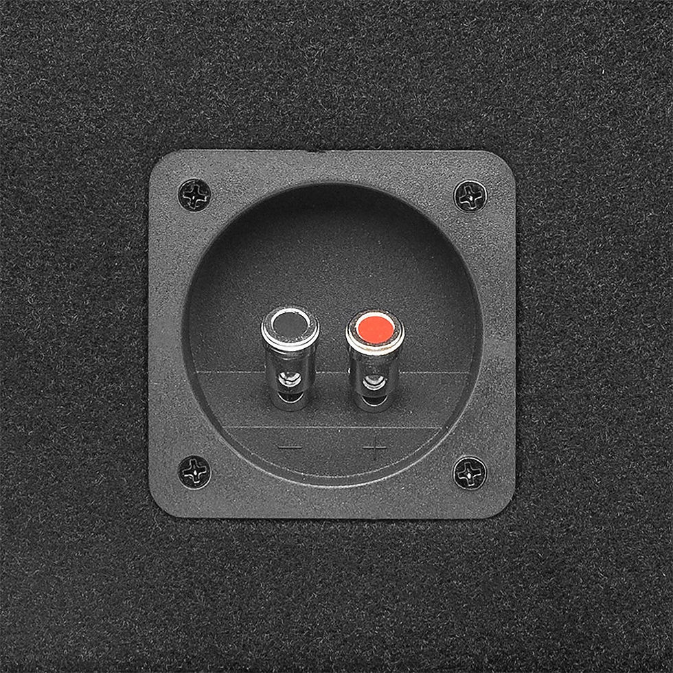 Thumbnail: DS18 Single 12″ Subwoofer Ported Enclosure