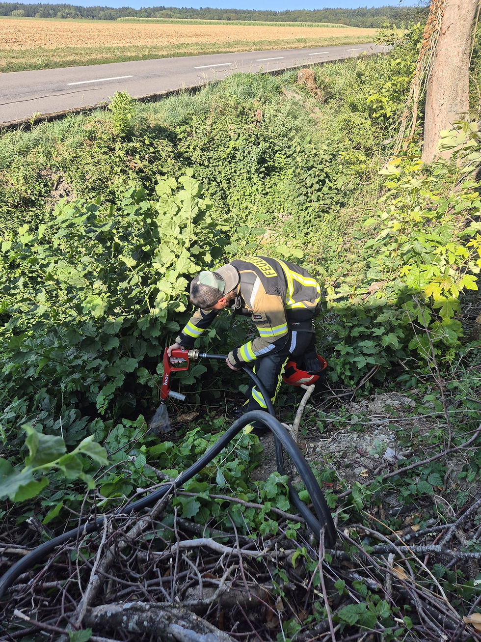 Kleinbrand Hecke (mutmasslich ausgelöst durch Zigarette) - Schongau