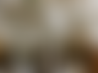 Dried herbs scattered from glass bottles on a natural surface, symbolising natural cold and flu remedies.