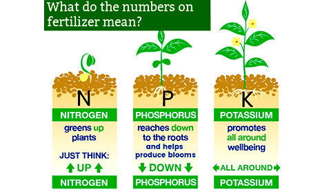 diagram with NPK explanation