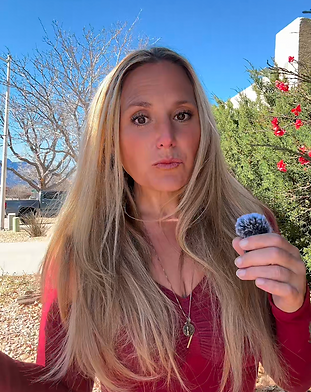 Screenshot 2026-03-08 at 2.58.07 PM.png