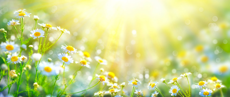 AdobeStock_115062064.jpeg