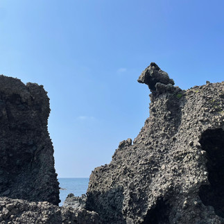 久僧海岸の奇岩・トテカモウ（宇川ゴジラ岩）ではウミネコの営巣をまじかで見ることができます・宇川観光案内所