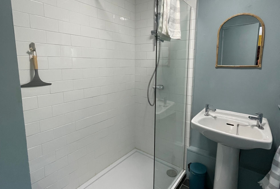 Kingfisher lodge shower room