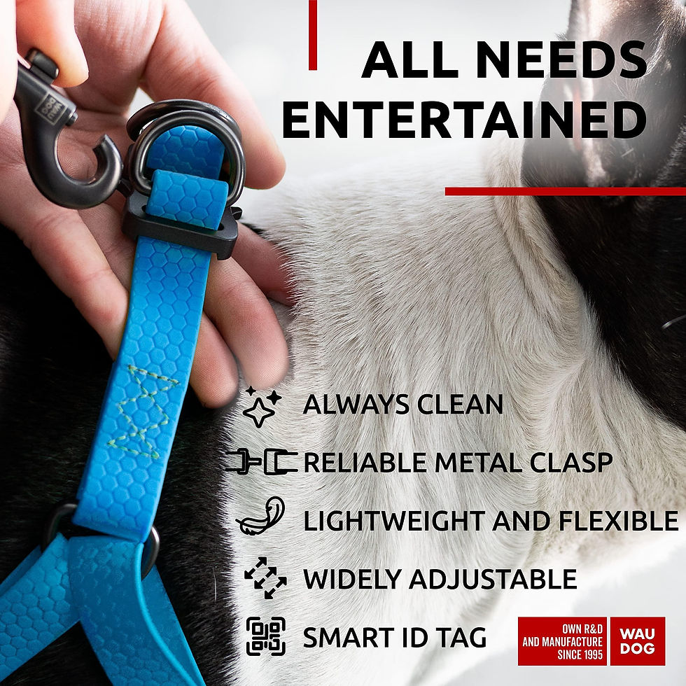 Thumbnail: Blue Waterproof Dog Harness Adjustable for Large Dogs S Size 1622 inch