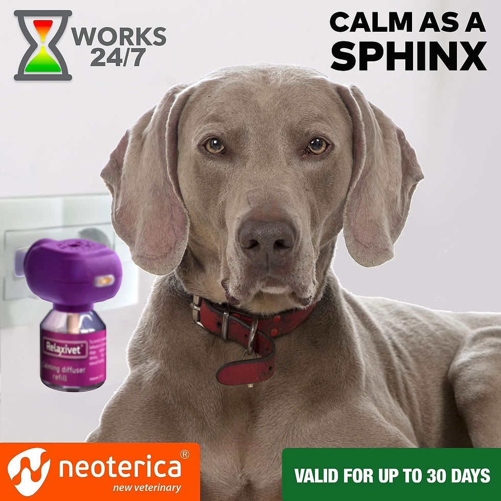 Thumbnail: Dog Calming Pheromone Diffuser Refill 2 Pack Improved in Germany Anti Anxiety