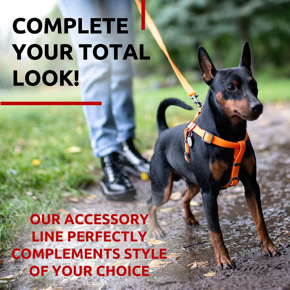 Thumbnail: Orange Waterproof Dog Leash 6 Ft x 3/5 in Anti Slip Dirt Resistant Heavy Duty