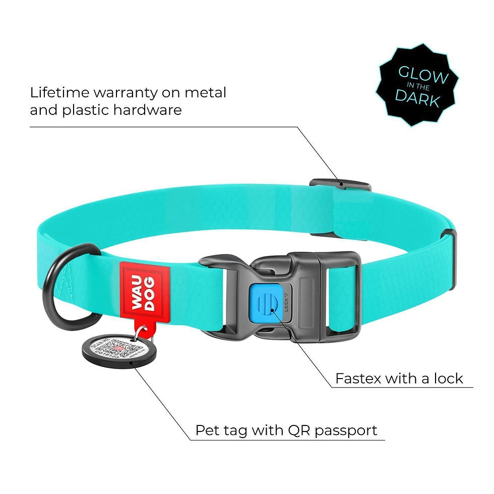 Thumbnail: Waterproof Dog Collar Heavy Duty Adjustable for Medium Dogs M Size Glow in Dark