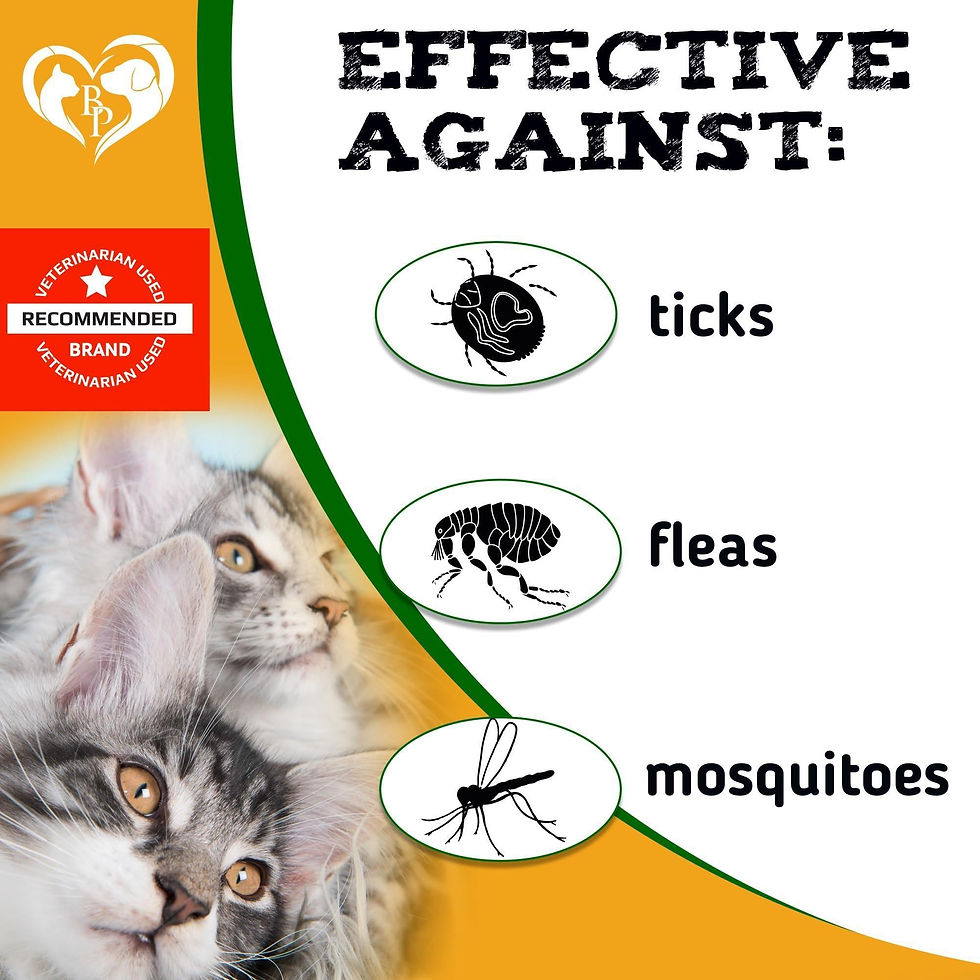 Thumbnail: Insects Prevention Chewable Pills for Dogs and Cats Revolution Pest Control