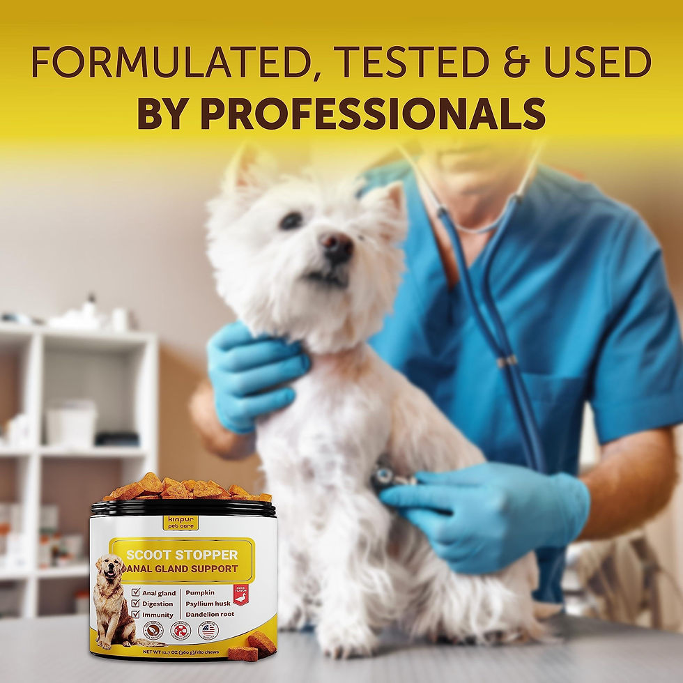 Thumbnail: Scoot Stopper Soft Chews   Fiber for Dogs   Dog Anal Gland and Digestion Support