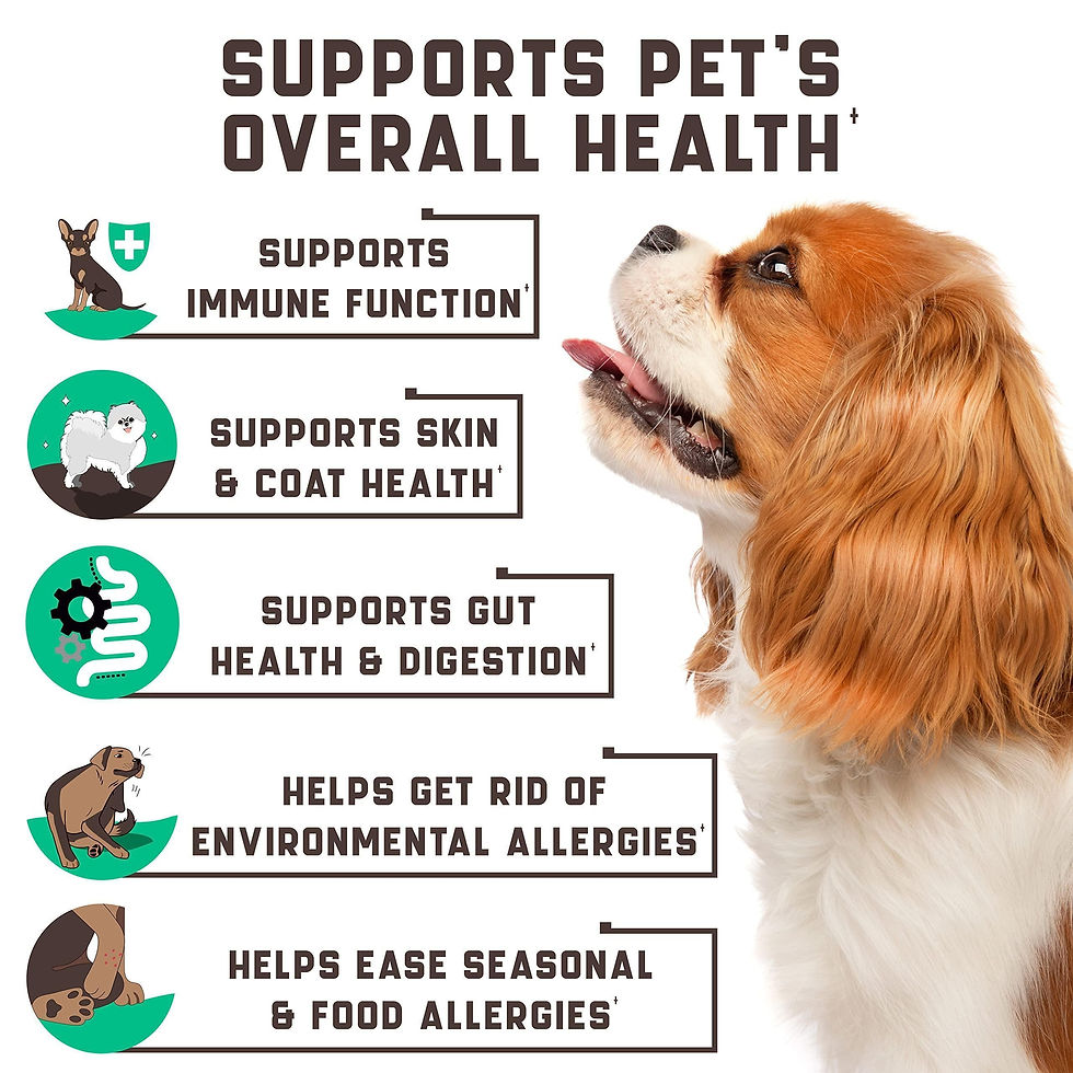 Thumbnail: Natural Dog Allergy Chews with Omega Probiotics Apple Cider Vinegar 180 Chews