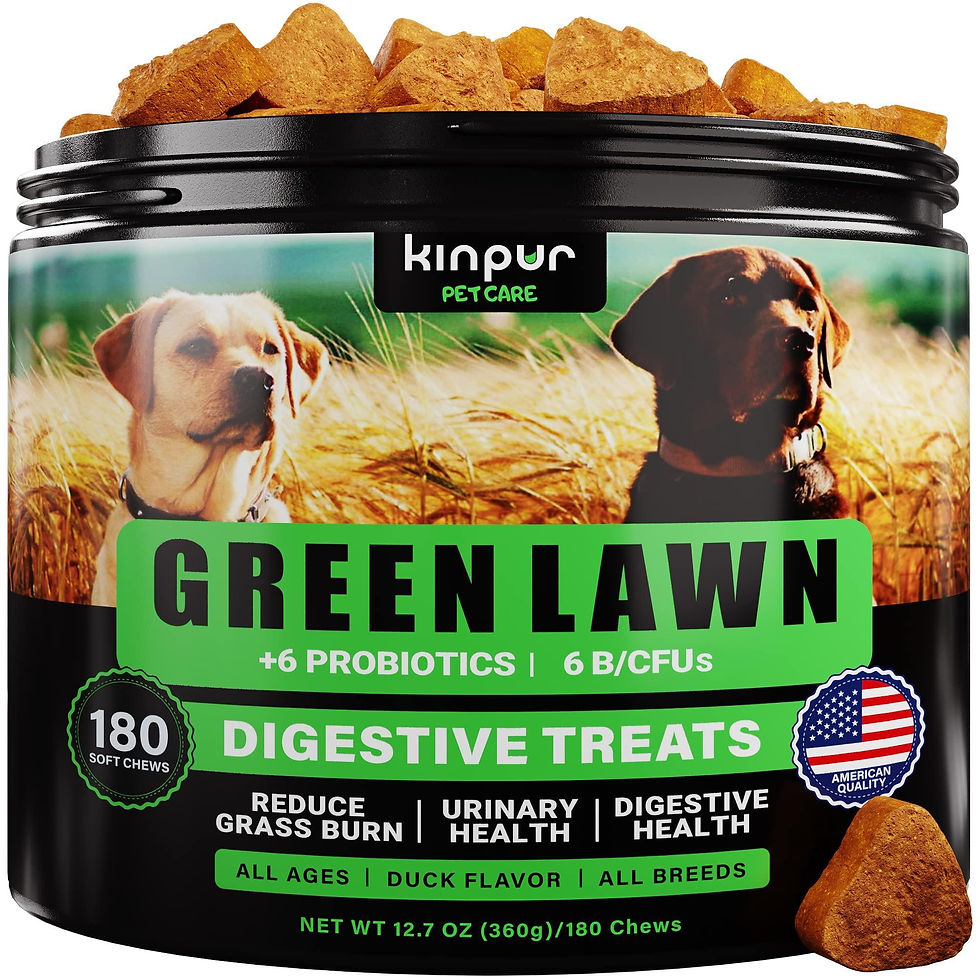 Thumbnail: Green Lawn Chews for Dogs   Cranberry ACV Digestive Enzymes   Natural Dog Urine