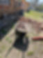 IMG_6245.jpeg