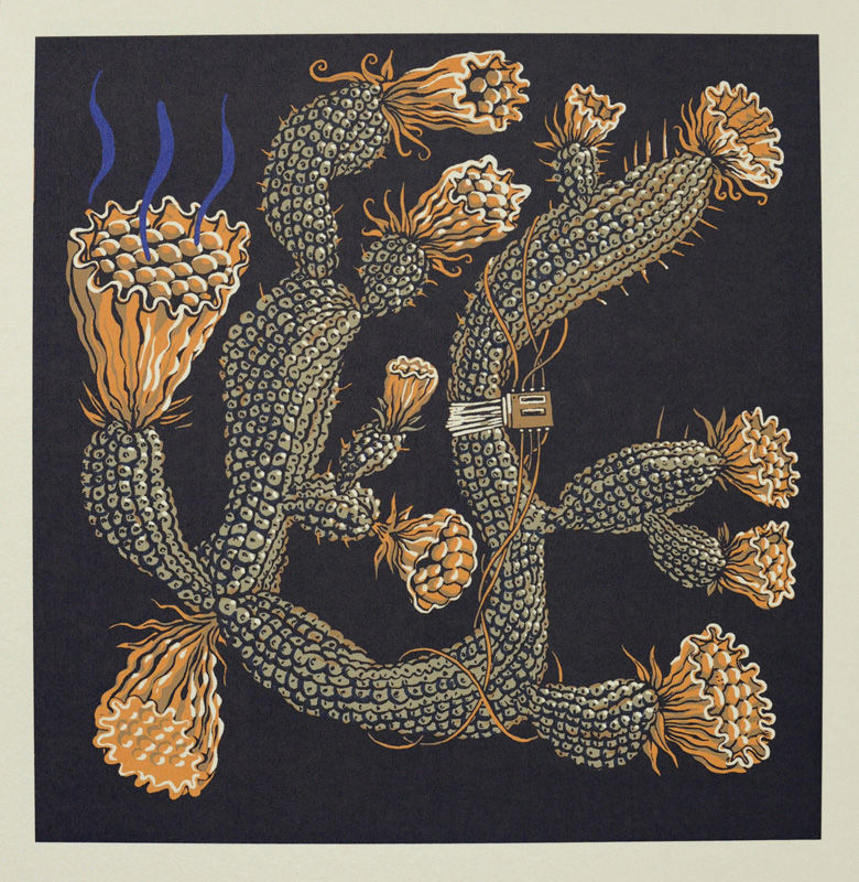 Cactus_delight_31x33cm