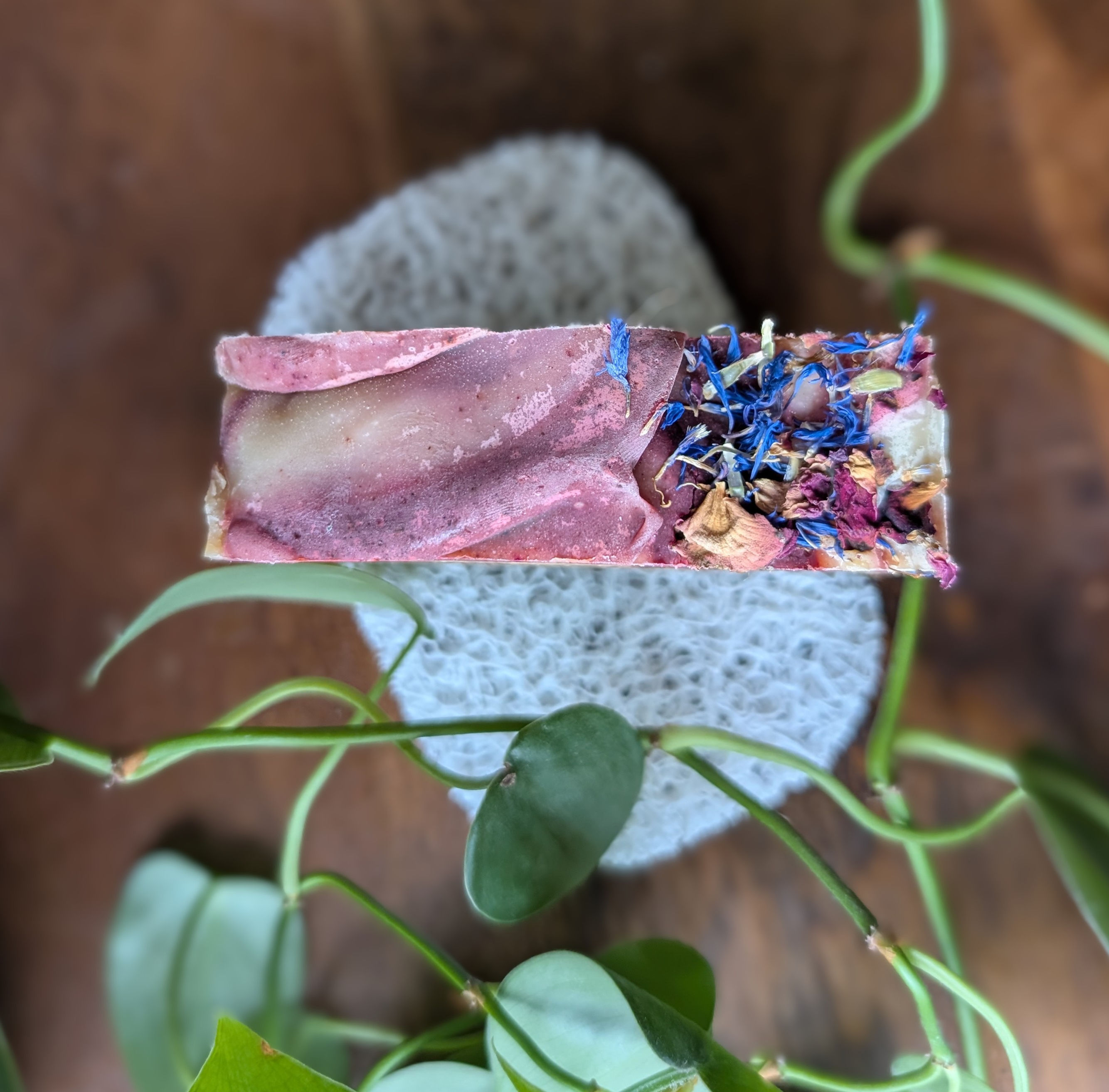 Rhubarb + Grapefruit