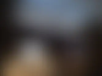 サウナイーグル