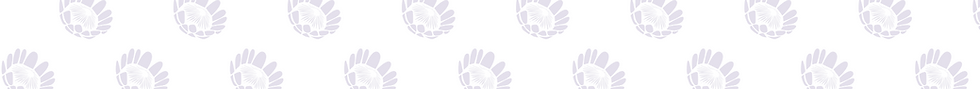 Untitled design (26).png