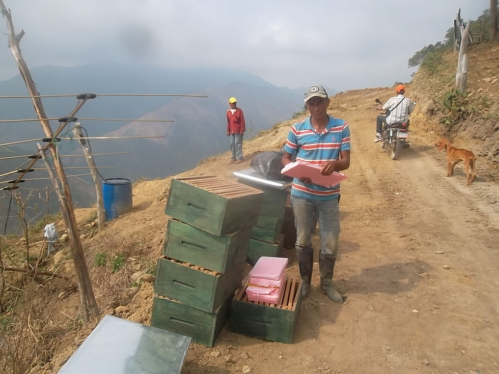 Entrega de Colmenas