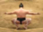 Sumo