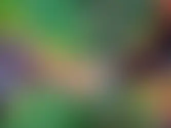 Como um investidor português pode abrir conta bancária no Brasil para investir em imóveis