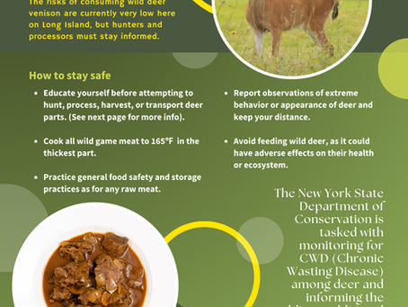 Safety of Local Venison