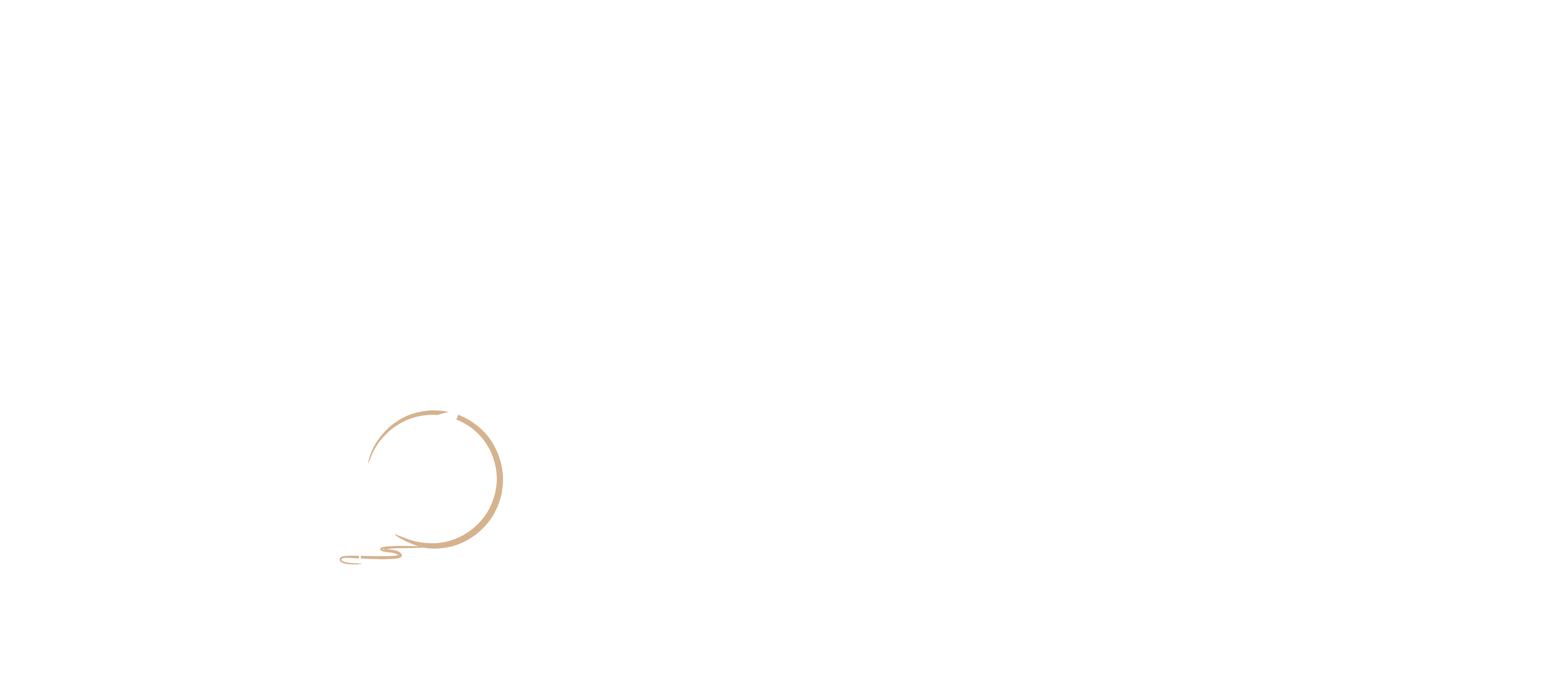 storylens-brand-studio-landscape-logo-reversed-no-bg-69fd4ca506b86.png
