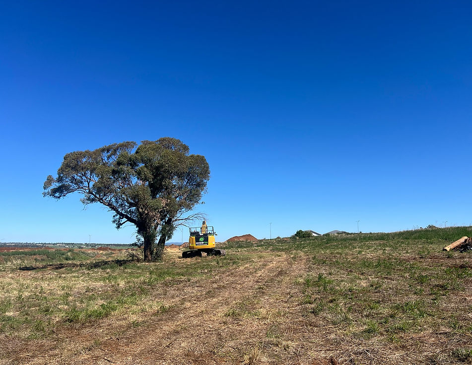 RSL Site remediation 6.4 (2).jpeg