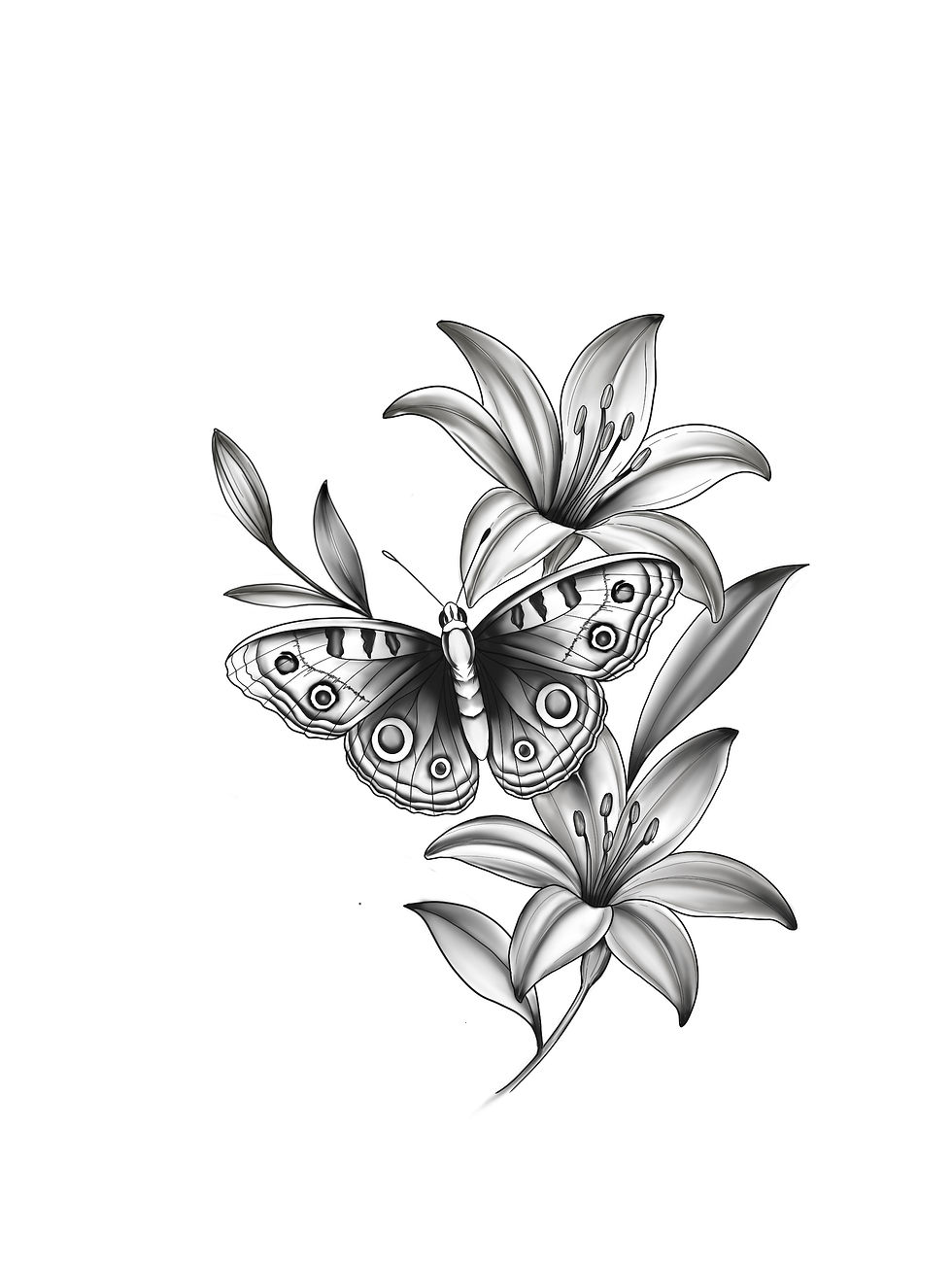 Thumbnail: Lily moth 