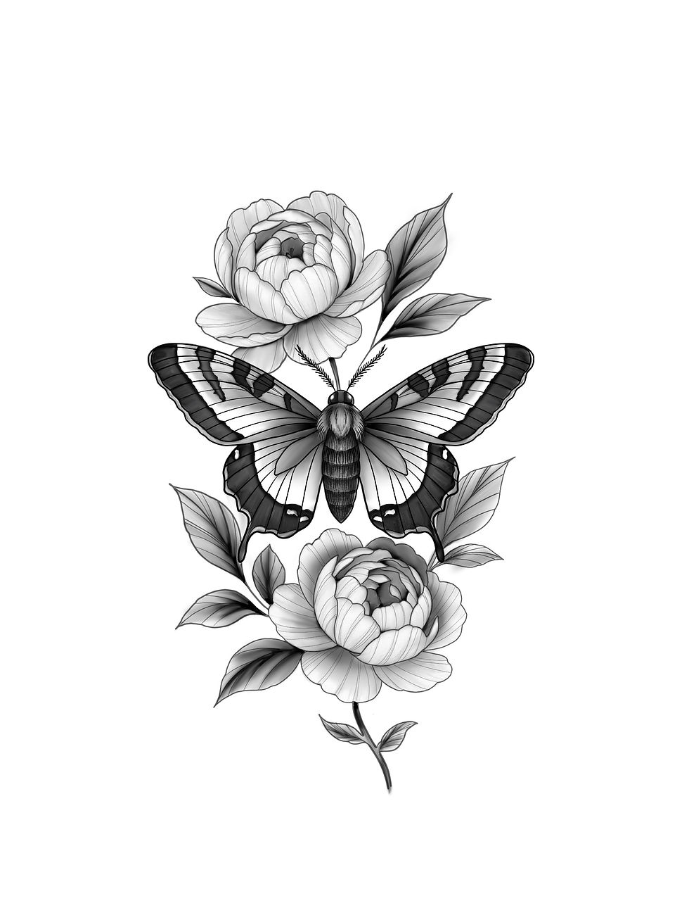 Thumbnail: Peony Moth 