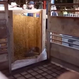 Sermon Series 69 Revelation Part 4