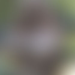 Sermon Series 109 Clean Rest