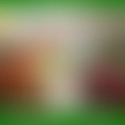 Sermon Series 49 Enter In & Believe