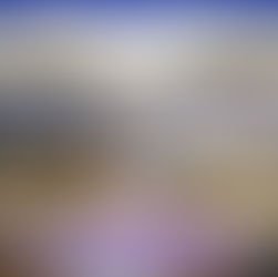 Sermon Series Prt 32 The Multitude & The Body