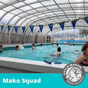 Copy of Tiny Mako 1 (1).png