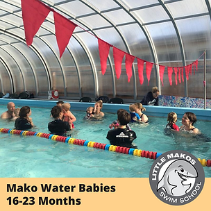Tiny Mako 1 (3).png