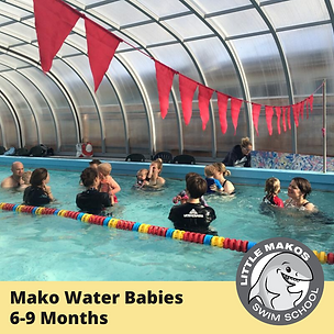 Tiny Mako 1 (1).png