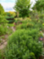 SEPTEMBER 2025 | Offene Gärten im Landkreis Prignitz