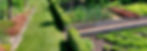 732c29db-40a7-40b9-b768-44bb9a52bb64_edited.jpg