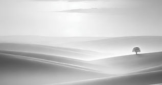 Noir et blanc officiel.jpg