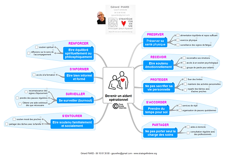 3 - L'aidant opérationnel.png