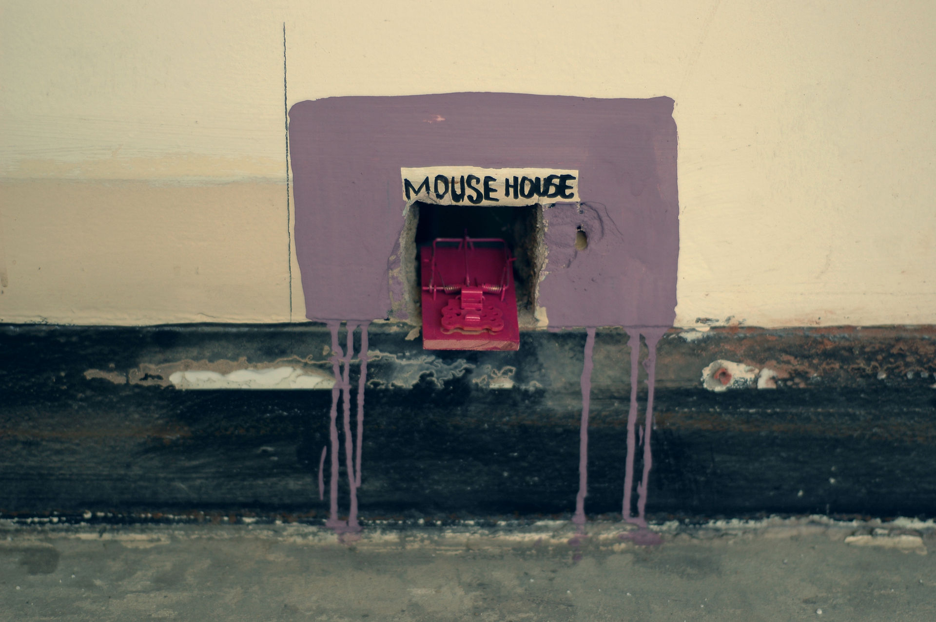 Mouse Trap