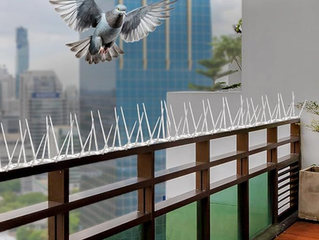 Bird Spikes in Dubai for Stylish Building Care