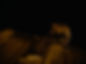 230413_HARRAGA_GRADED_WIP1_1.145.1.jpg