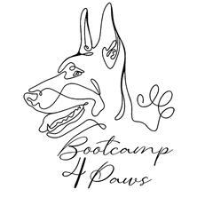 bootcamp4paws-logo