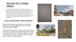 MORFOLOGIA NUEVA GRANADA1