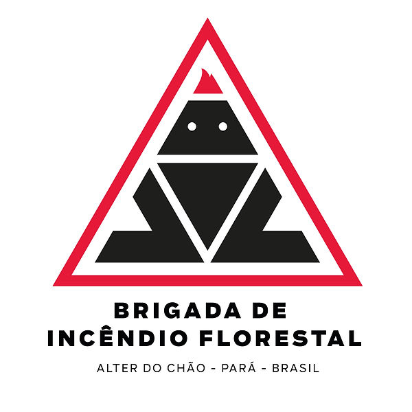 brigada_Solo-01.jpeg