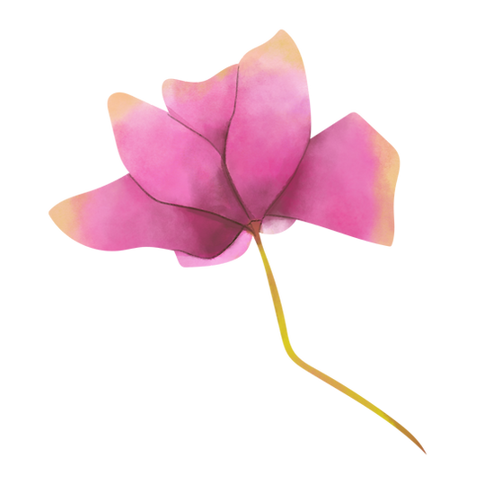 44.png