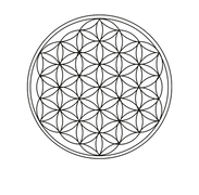 28.png